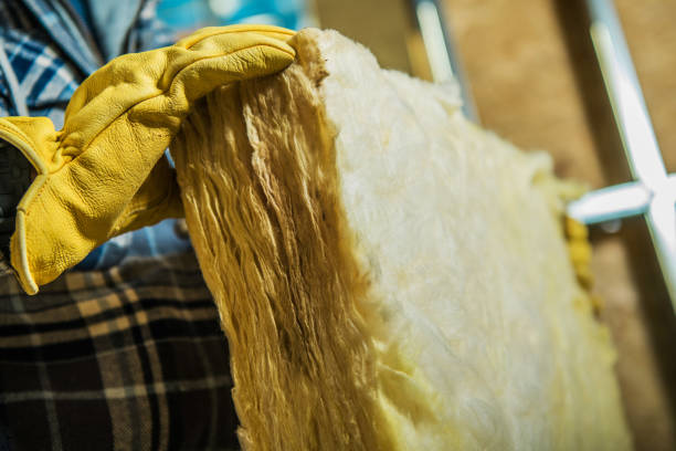 Best Insulation Inspection Services  in Rosemount, MN